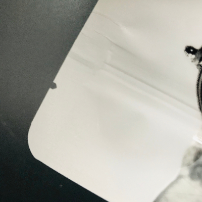 寵物食品自立拉鏈密封袋 寵物食品自立拉鏈密封袋