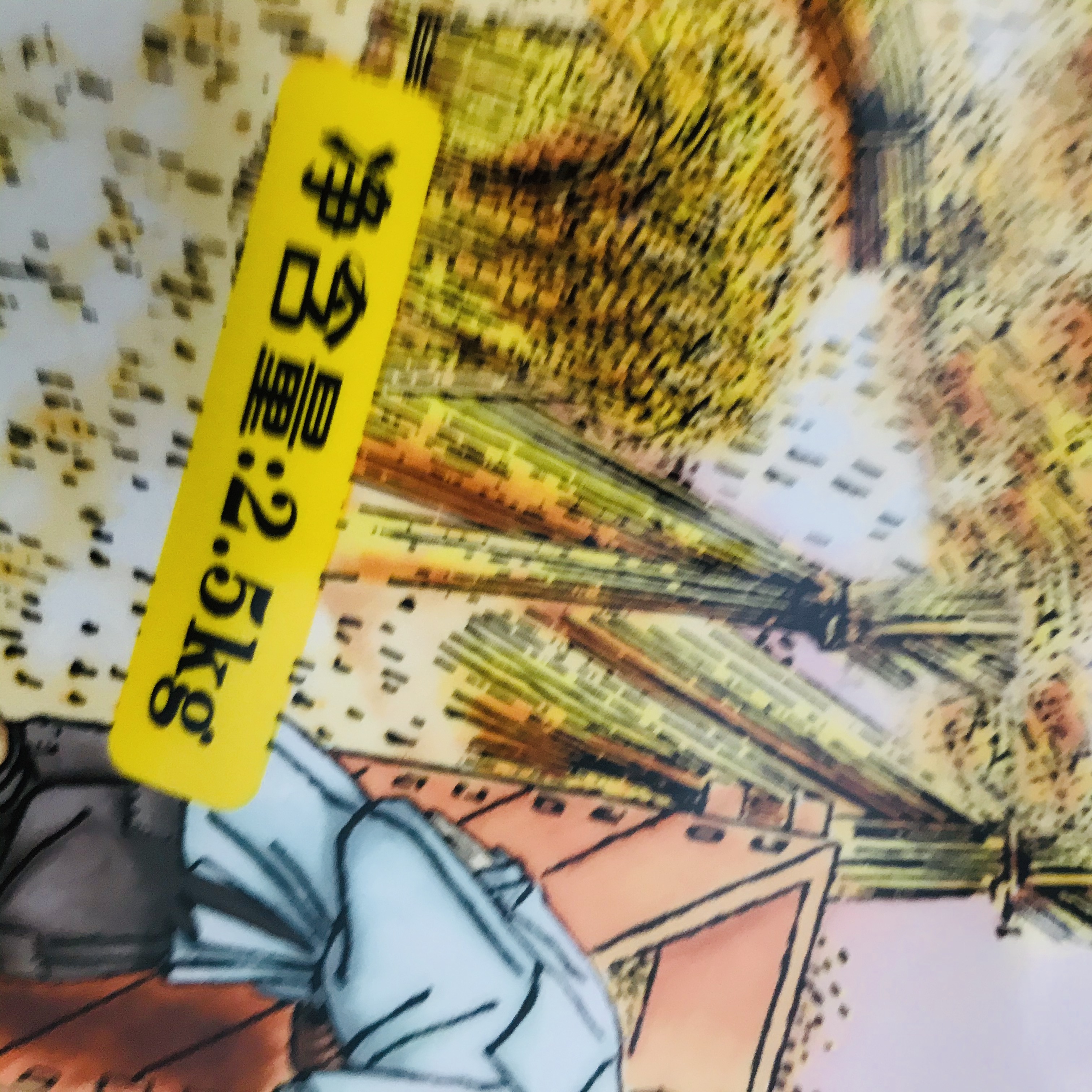 定制貓砂袋