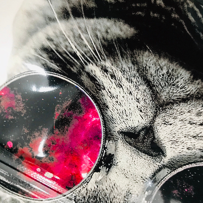 寵物食品自立拉鏈密封袋 寵物食品自立拉鏈密封袋